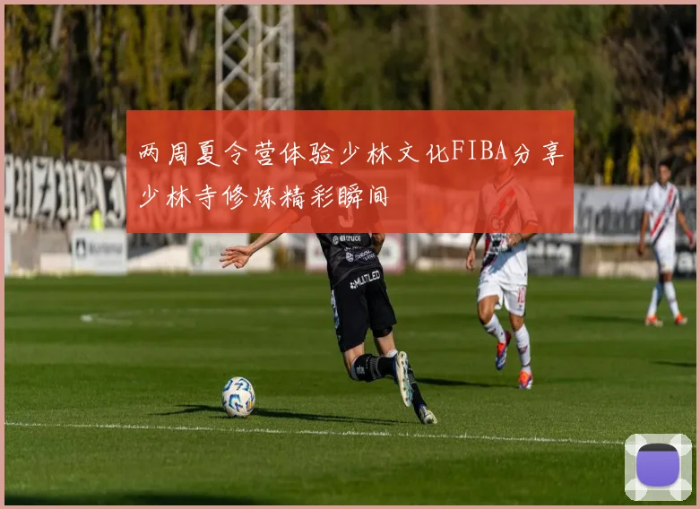 两周夏令营体验少林文化FIBA分享少林寺修炼精彩瞬间